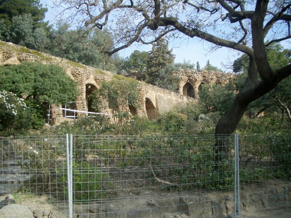 CIMG3061