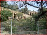 CIMG3061