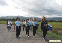 IMG_q2223