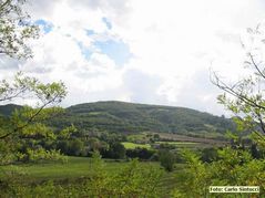 IMG_r2227