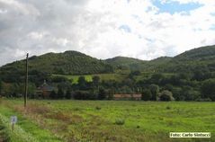 IMG_s2228