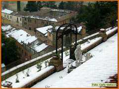 IMG_0206907