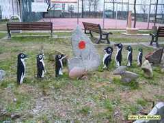 IMG1_6799