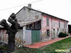 IMG3_6794