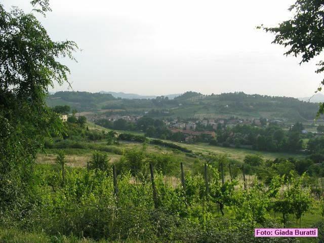 sgiovanni06_017