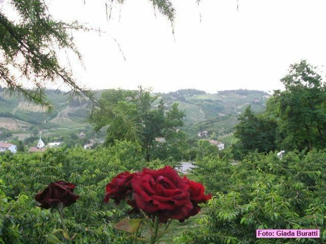 sgiovanni06_022