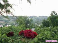 sgiovanni06_022