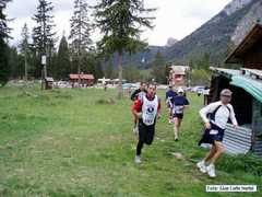cortina_39
