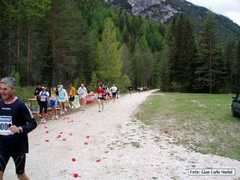 cortina_41