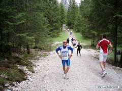cortina_48