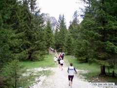 cortina_49