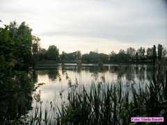 IMG_5451