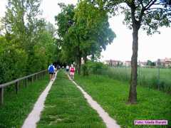 IMG_5455