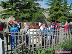 russi_08