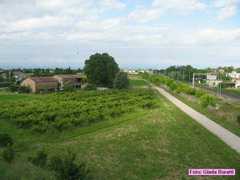 russi_19