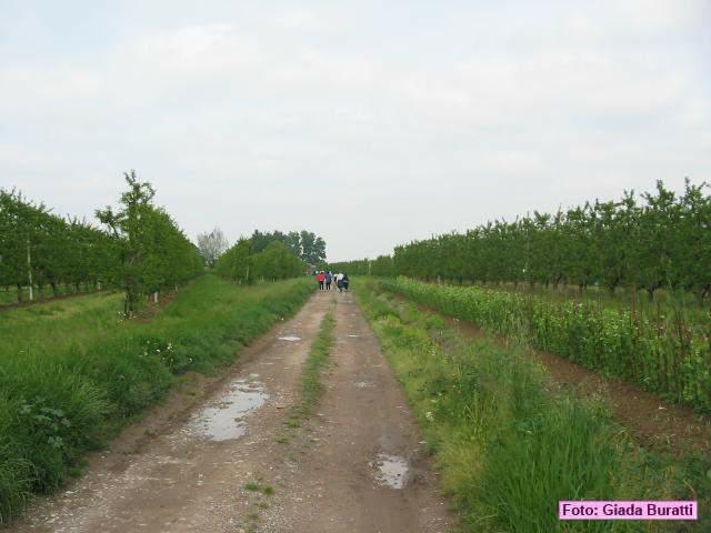 gb30