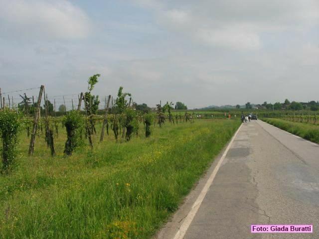 gb48