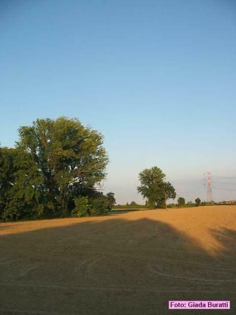 borgosisa_17