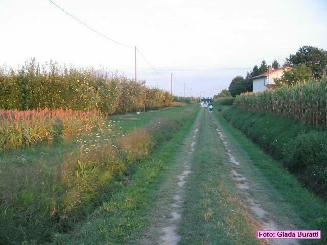 borgosisa_39