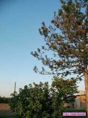 borgosisa_20