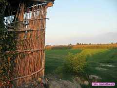 borgosisa_28