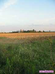 borgosisa_35