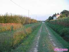borgosisa_39