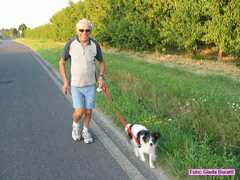castelbolognese_12