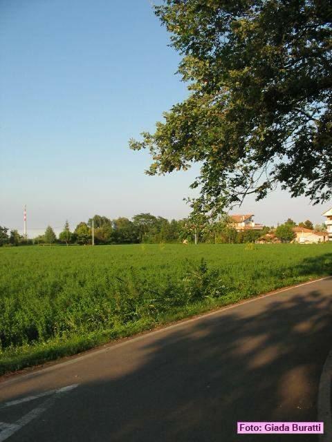 castiglione_07