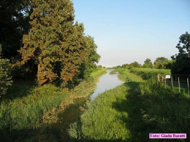 castiglione_10