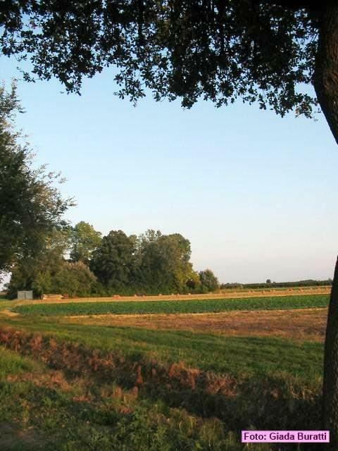 castiglione_33