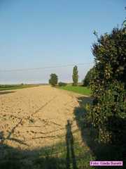 castiglione_12
