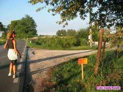 castiglione_16