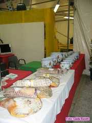 castiglione_38