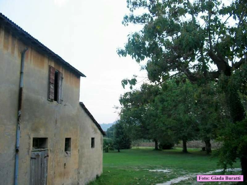 diegaro_02