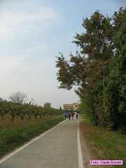 cantina_48