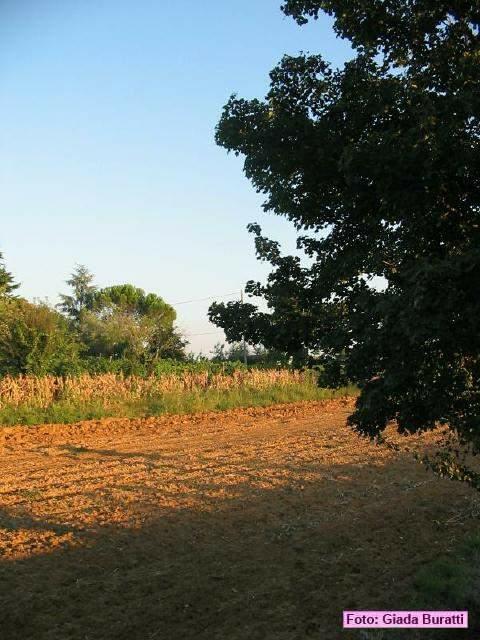 vecchiazzano_2006003