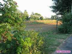 vecchiazzano_2006002