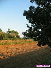 vecchiazzano_2006003