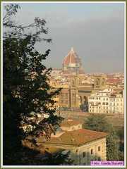firenze_b219