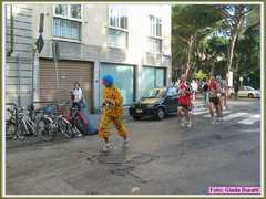firenze_b362