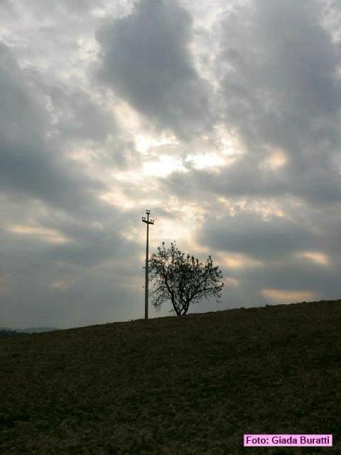 imola_021