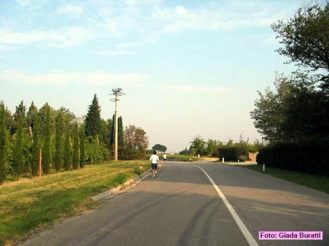 imola_037