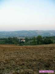 imola_2006_016