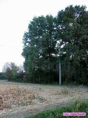 russi_2006_007