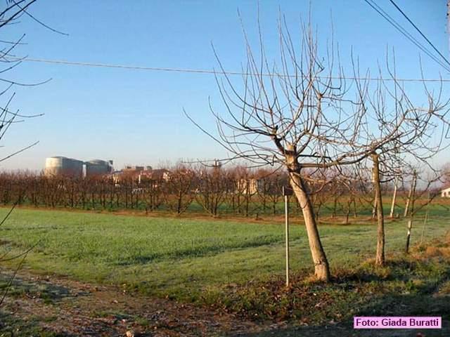 russi_08