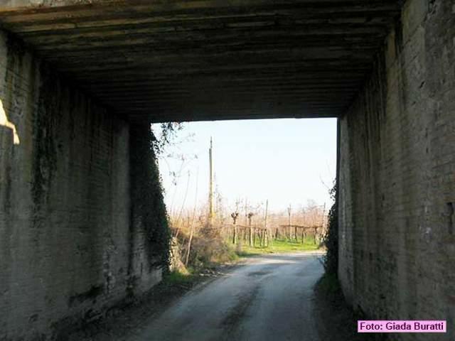 russi_57