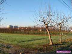 russi_08