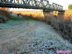 russi_39