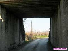 russi_57
